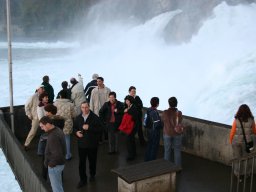 IMG_3131
